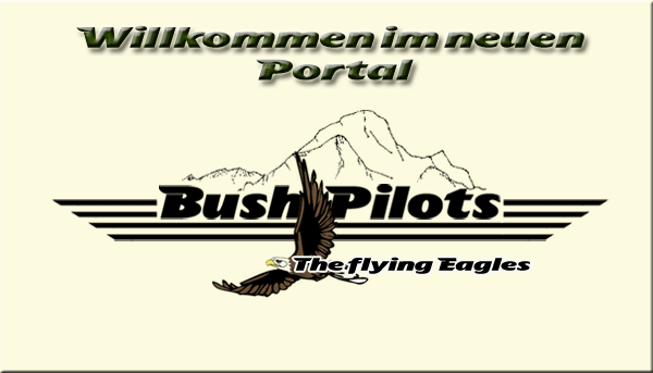 Bush-Pilots